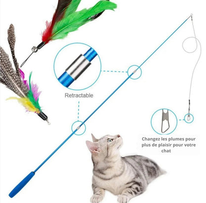 Cannes à plumes interchangeables pour chats - lots de 11 accessoires ludiques