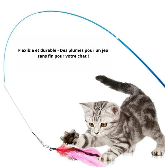 Cannes à plumes interchangeables pour chats - lots de 11 accessoires ludiques