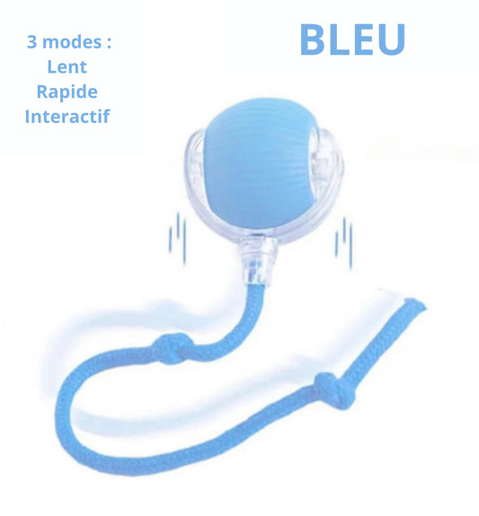 Boule magique lumineuse rechargeable- le jouet préféré des chats