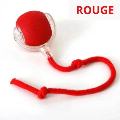 Boule magique lumineuse rechargeable- le jouet préféré des chats