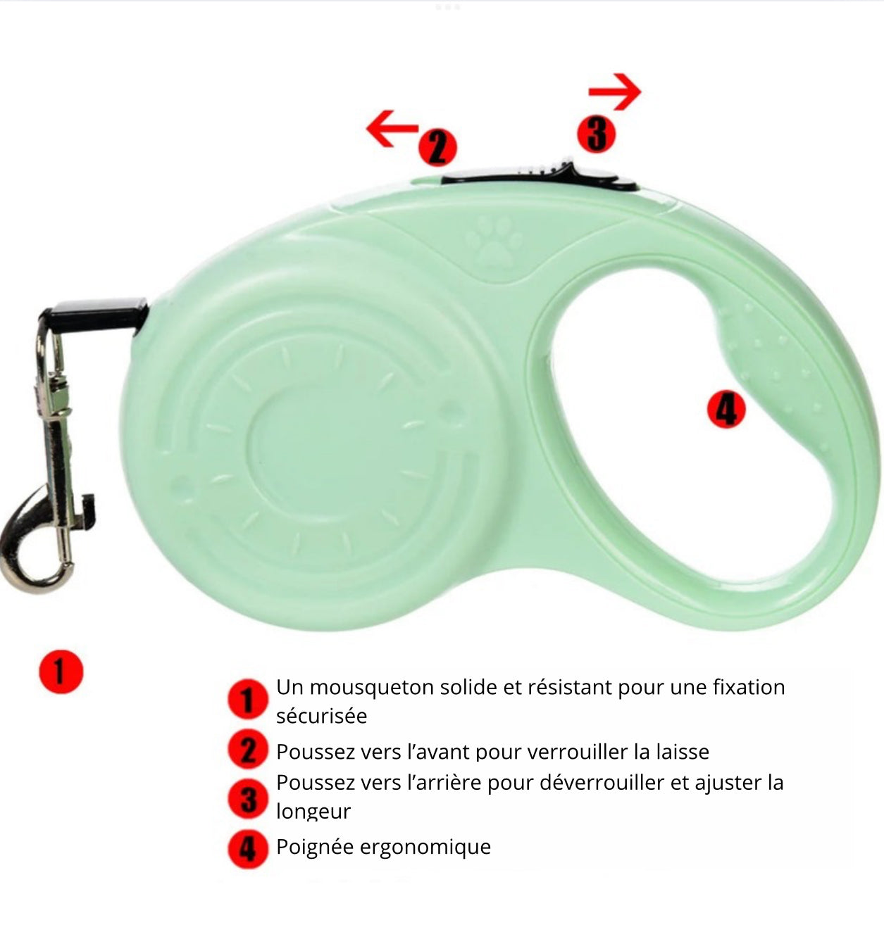 Laisse pour Chat Extensible 3 mètres – Liberté en toute sécurité