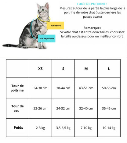 Harnais Respirant et Confortable pour Chat – Anti-Frottement et Sécurisé